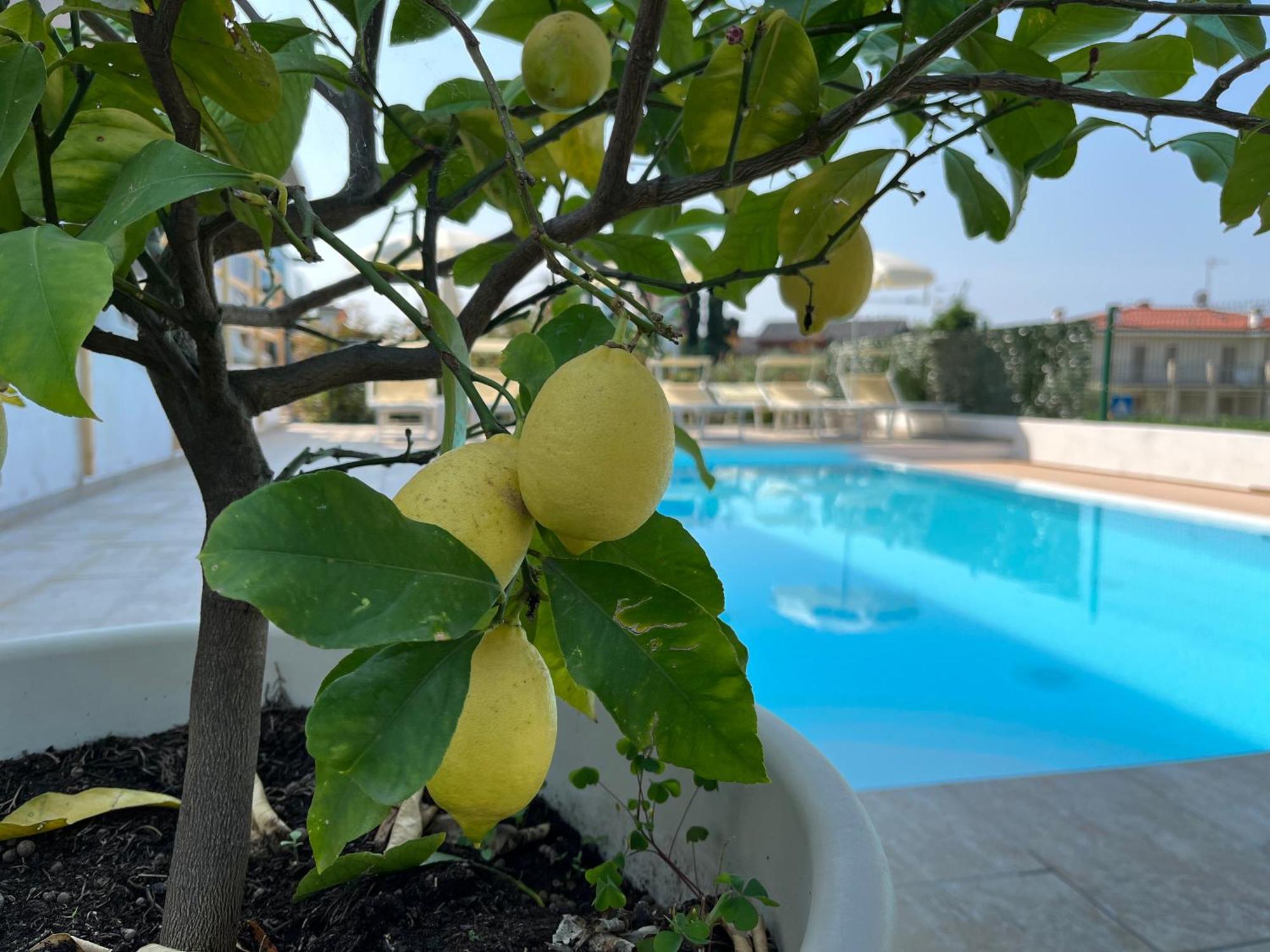 Hotel Renata Lazise Exterior foto